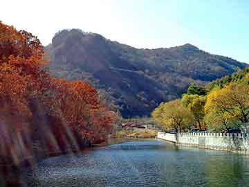 澳门二四六天天彩图库，平陆野猪